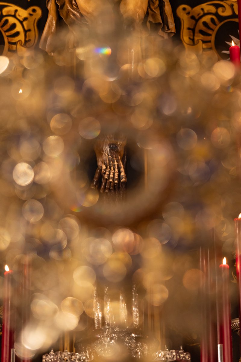 🌾 Celebración del Jueves Eucarístico.
🗓️ 29 de enero, a las 20.15 horas.
✝️ Oficia D. Pablo Ruiz Lozano, nuestro consiliario.
⛪ Capilla Sacramental de la Iglesia de San Juan Bautista.

🙏 ¡Alabado sea el Santísimo Sacramento del Altar! #cofradíasMLG