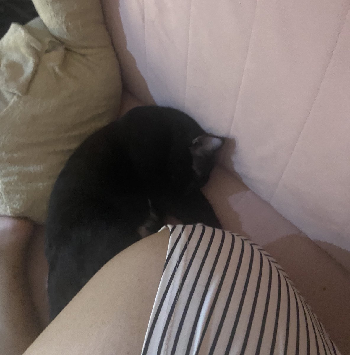 น่าจะหอม