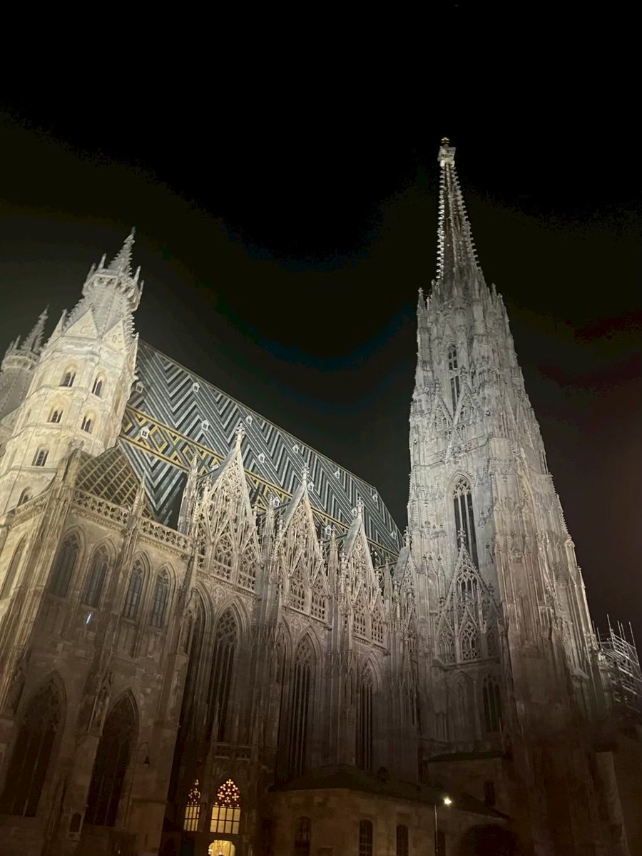 オーストリアを訪れた際に撮影したシュテファン大聖堂です。時間帯