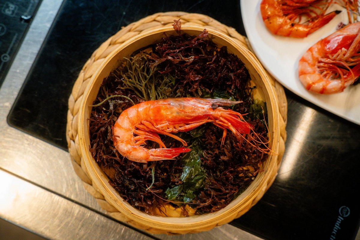 EstimarZafra's tweet photo. Tanto en Barcelona como en Madrid, nuestra reina indiscutible es la gamba roja de Roses 🦐 

ESTIMAR 🩵

📌 C/ Sant Antoni dels Sombrerers 3 Barcelona.📌 C/ Marqués de Cubas 18 Madrid.

Repsol ☀️☀️ Barcelona ☀️☀️Madrid
👉🏻Reservas en nuestra web. https://t.co/t3Wsd9F2Cp
