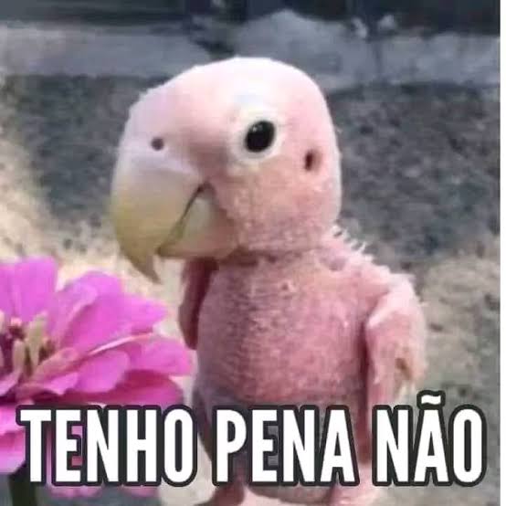 Raphael_BR2 tweet media