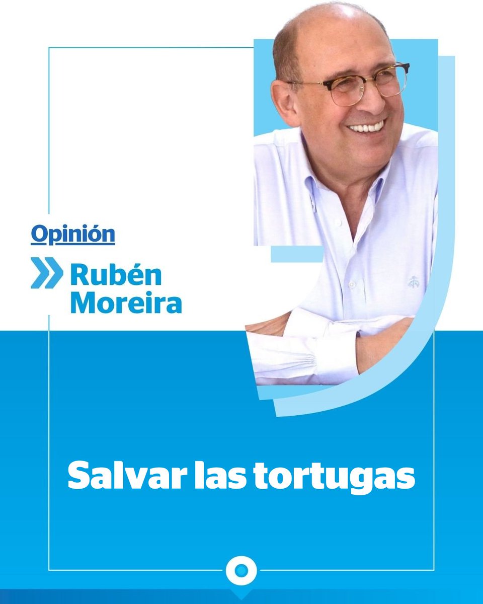 Opinión | Cada año, cuatro de las siete especies de tortugas marinas del mundo arriban a las playas de Oaxaca para anidar. México alberga entre el 10 y el 12 por ciento de la diversidad de especies existente a nivel mundial y aún así la participación del Estado en materia de