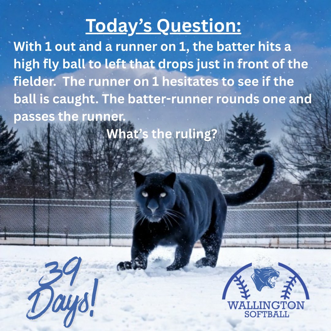 Wallington HS Softball tweet media