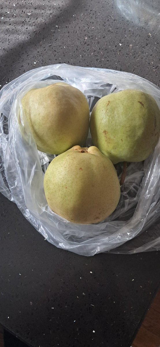 hakandmrl's tweet image. 3 tane Deveci armuta 90 TL verdim ..Üstelik 3 harfli markette .
Tane 30 TL küçücük Armut.
- Bu arada pazarda kilo 120-140 tl idi.
- Ülkenin geldiği hale bak ...
-İstediğimiz meyvelerden sadece 1'er kilo alsak sadece meyveye 1000 tl vereceğiz.

Allah sizi bildigi gibi yapsın.
-…