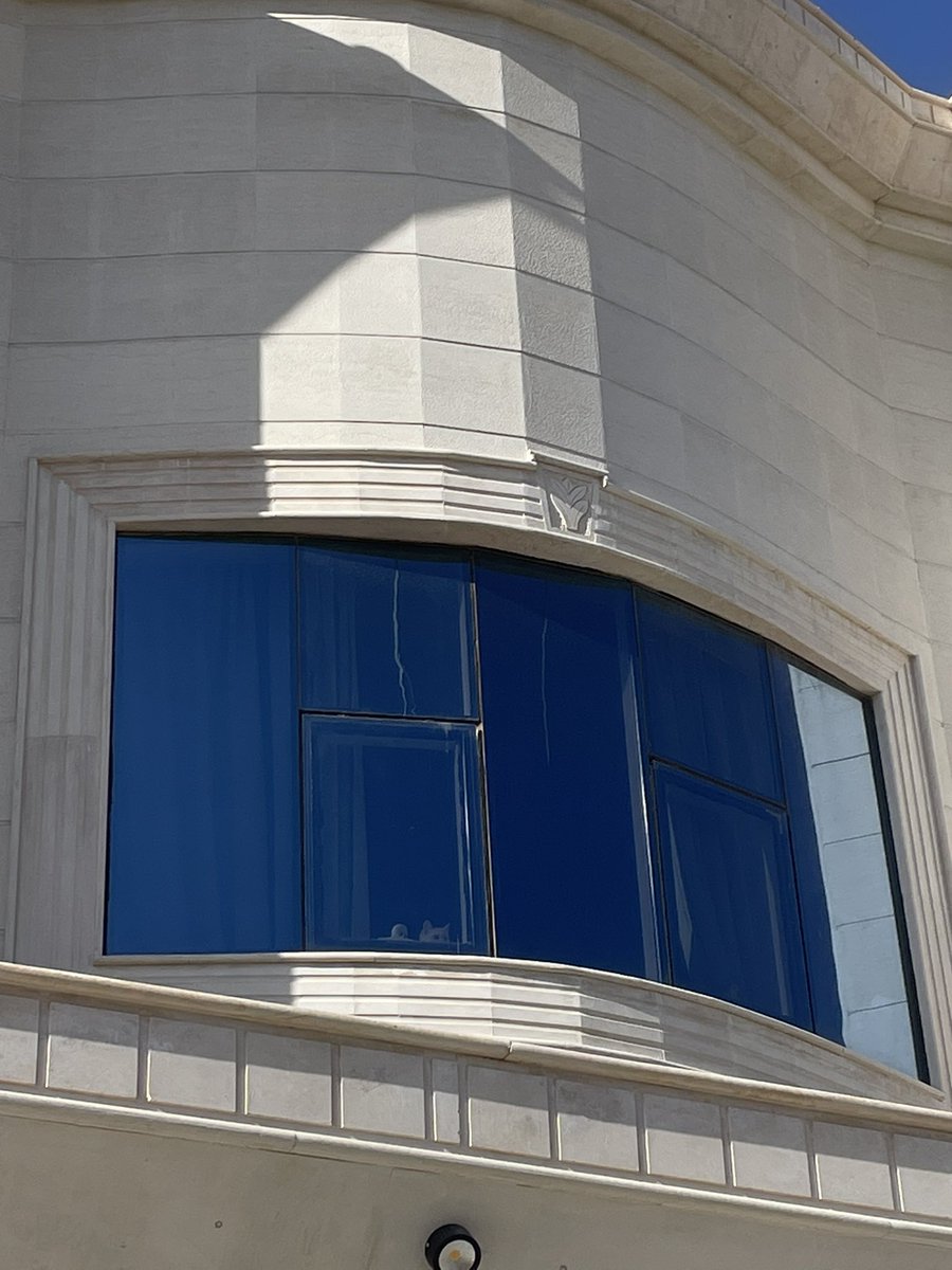 Isolationn0's tweet image. 