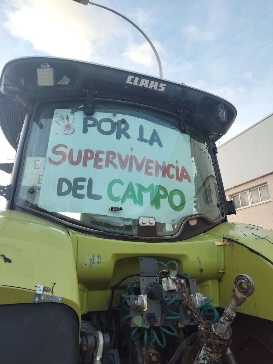 Castalla tweet media