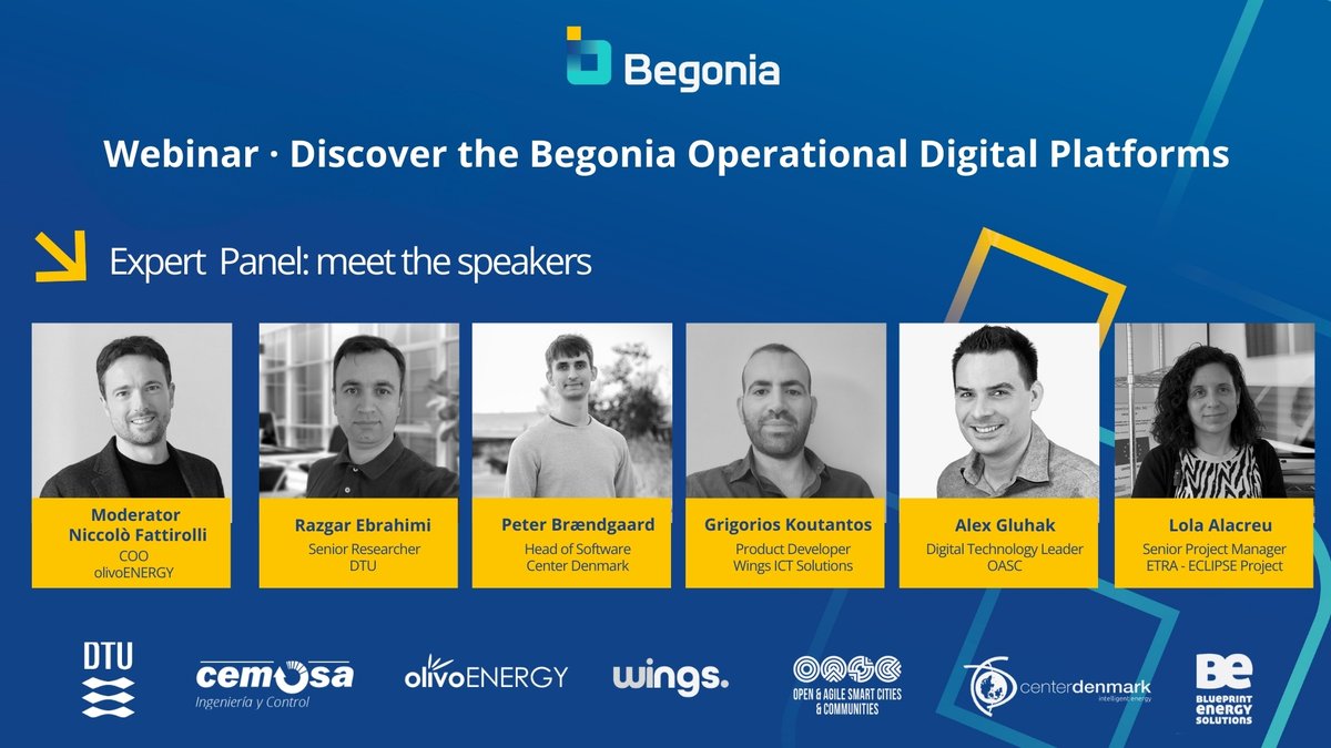 Begonia Project tweet media