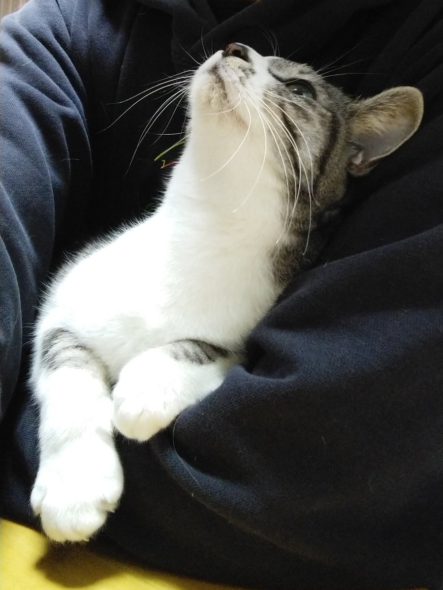 誰に抱かれてるのか確認中