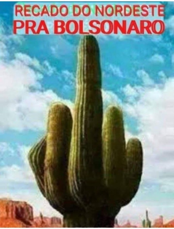 Natal Rodrigues Lima tweet media