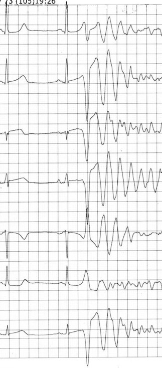 empod.cat tweet media