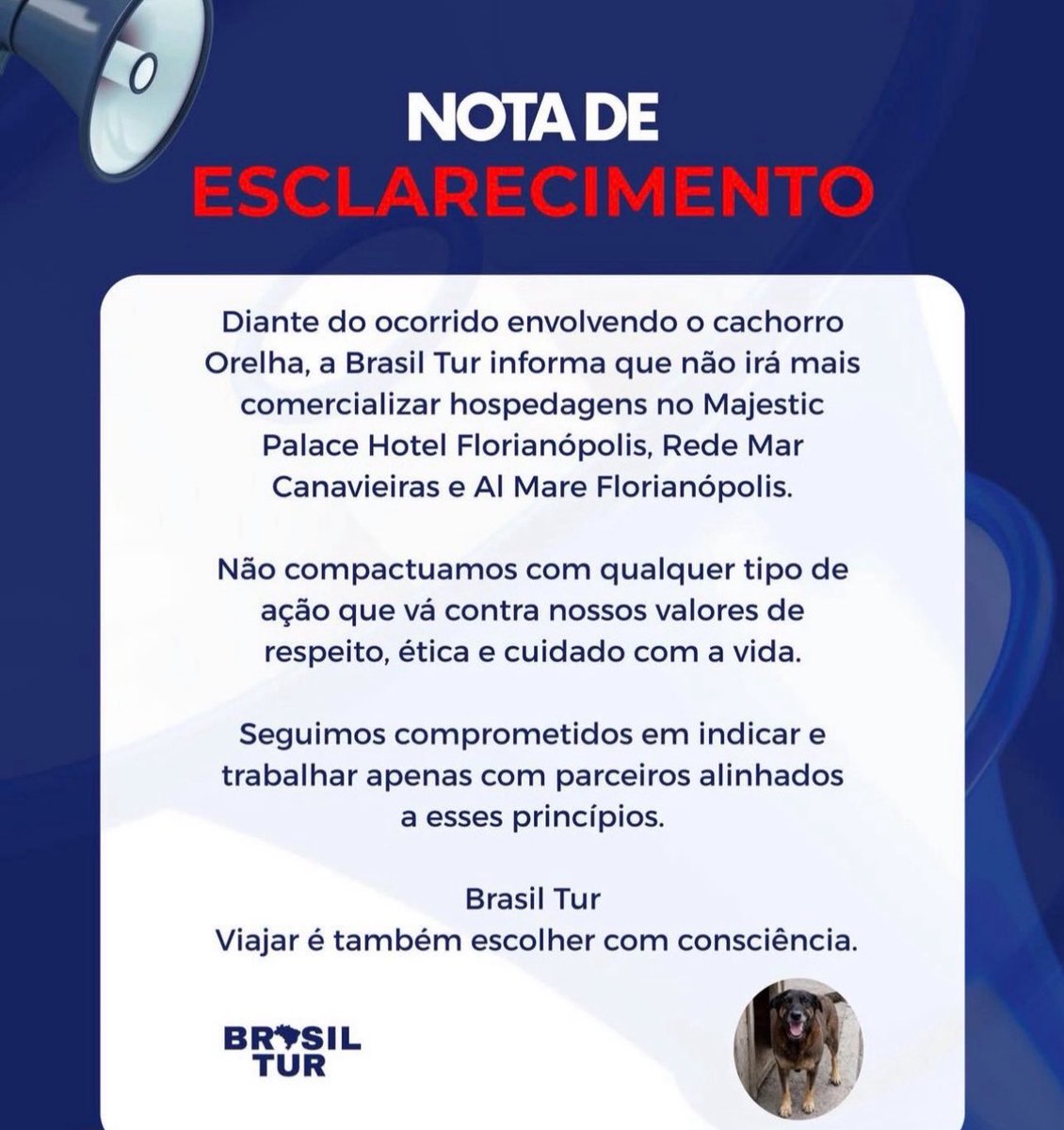 Enfermeiro do Orelha tweet media