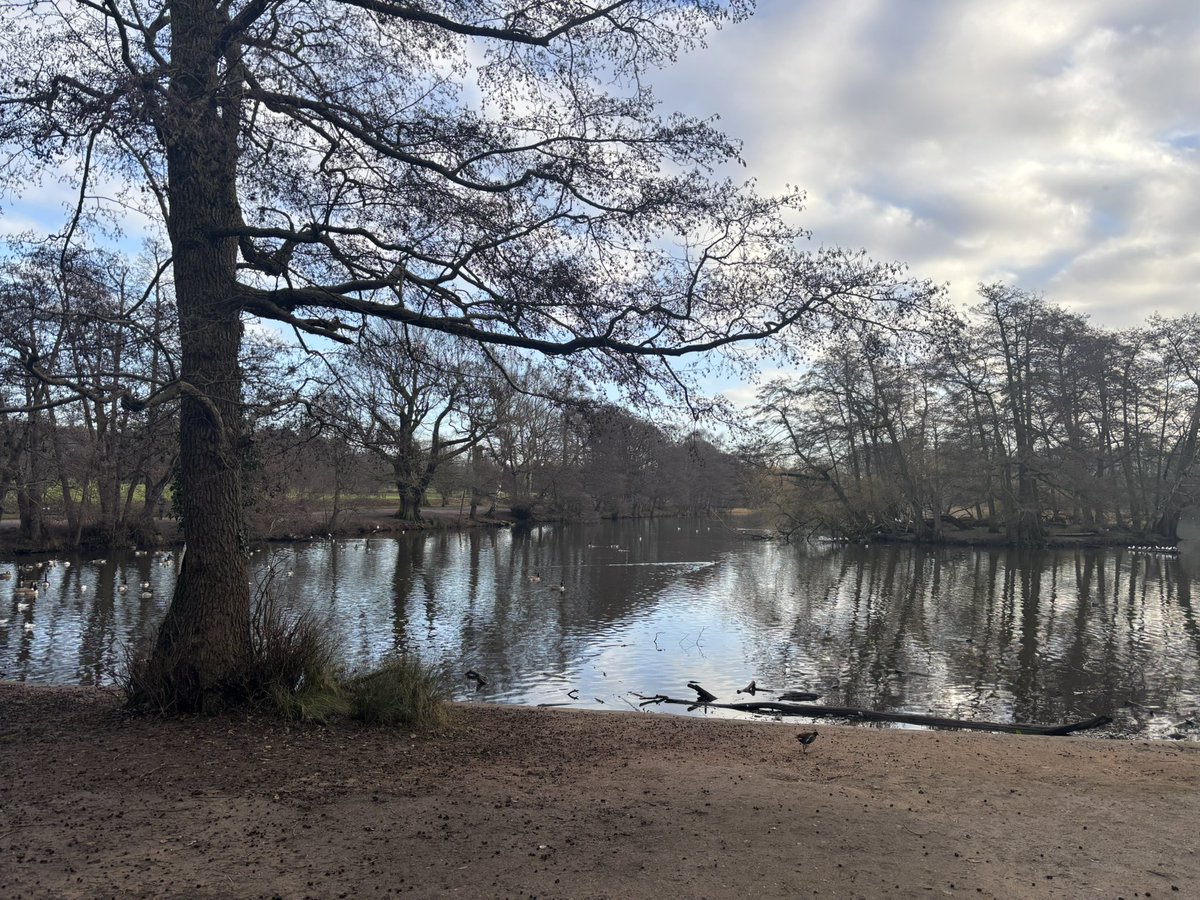 Phoenizard tweet media