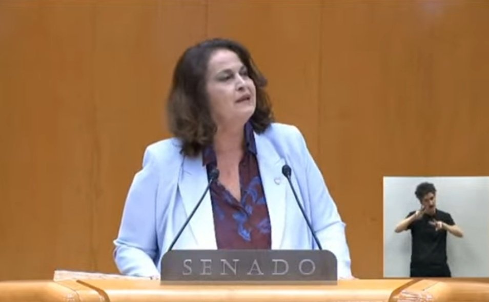 Mira lo que será el cachivache del <a href="/PSOE/">PSOE</a> que pone a defender en el Senado a Óscar Puente a un señor disfrazado de mujer