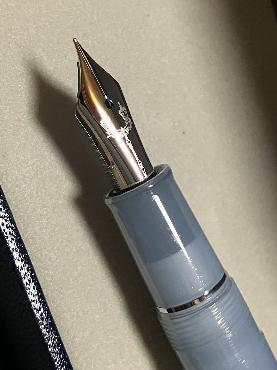 久しぶりに万年筆買いました☺️ 銀山スノーグレー パルム