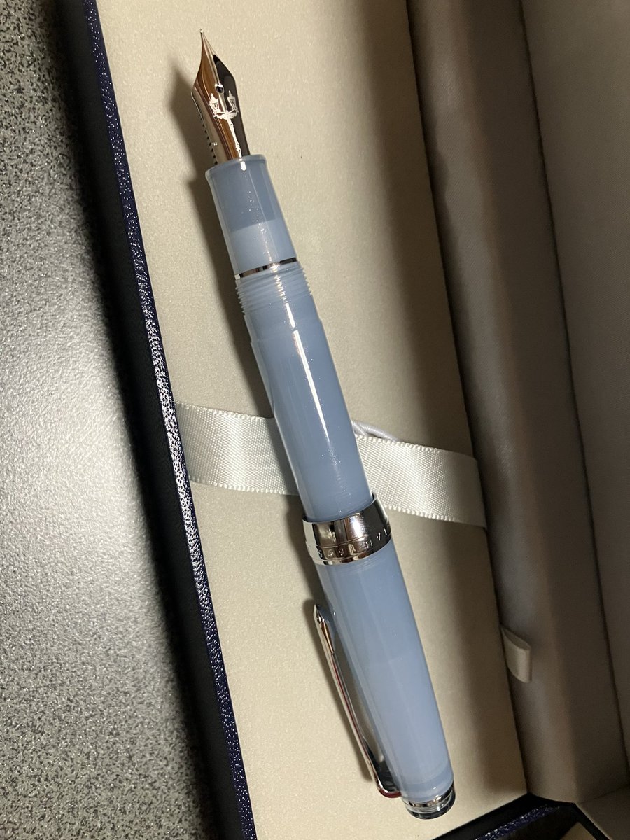 久しぶりに万年筆買いました☺️ 銀山スノーグレー パルム