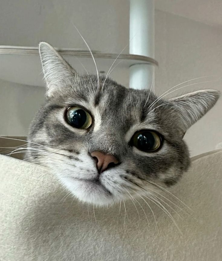 mimi ୨ৎ tweet media