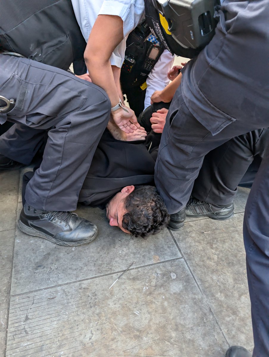 Montgomery Toms tweet media