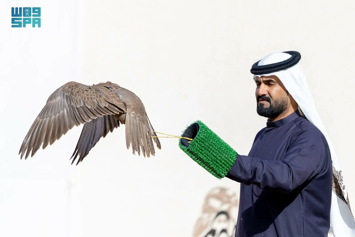 Spa_Eng's tweet photo. Turaif Hosts Falcon Festival with Over 700 Participants.
https://t.co/0IYLL61aPT
#SPAGOV https://t.co/oCFTojw02q