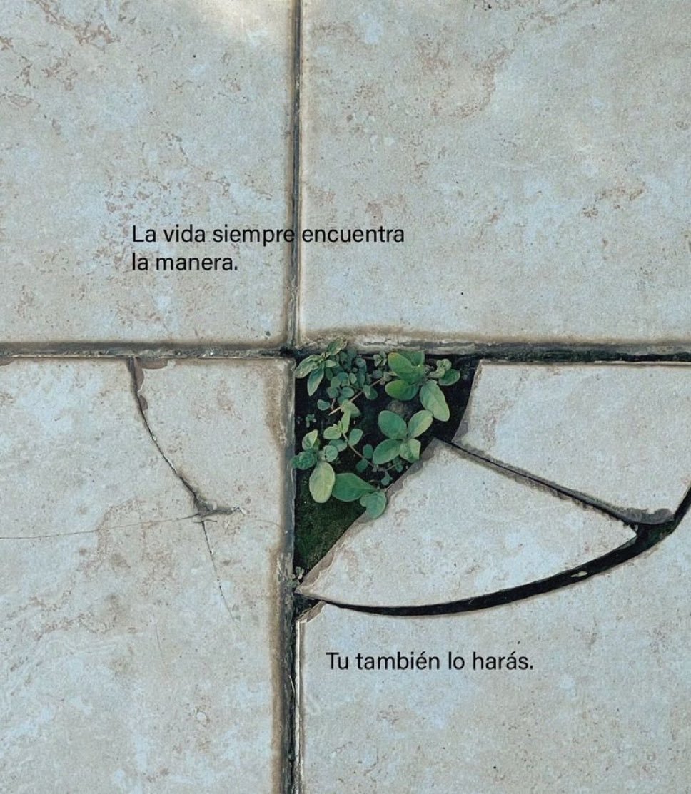 hombres's tweet photo. https://t.co/0Fj6SnZaXR