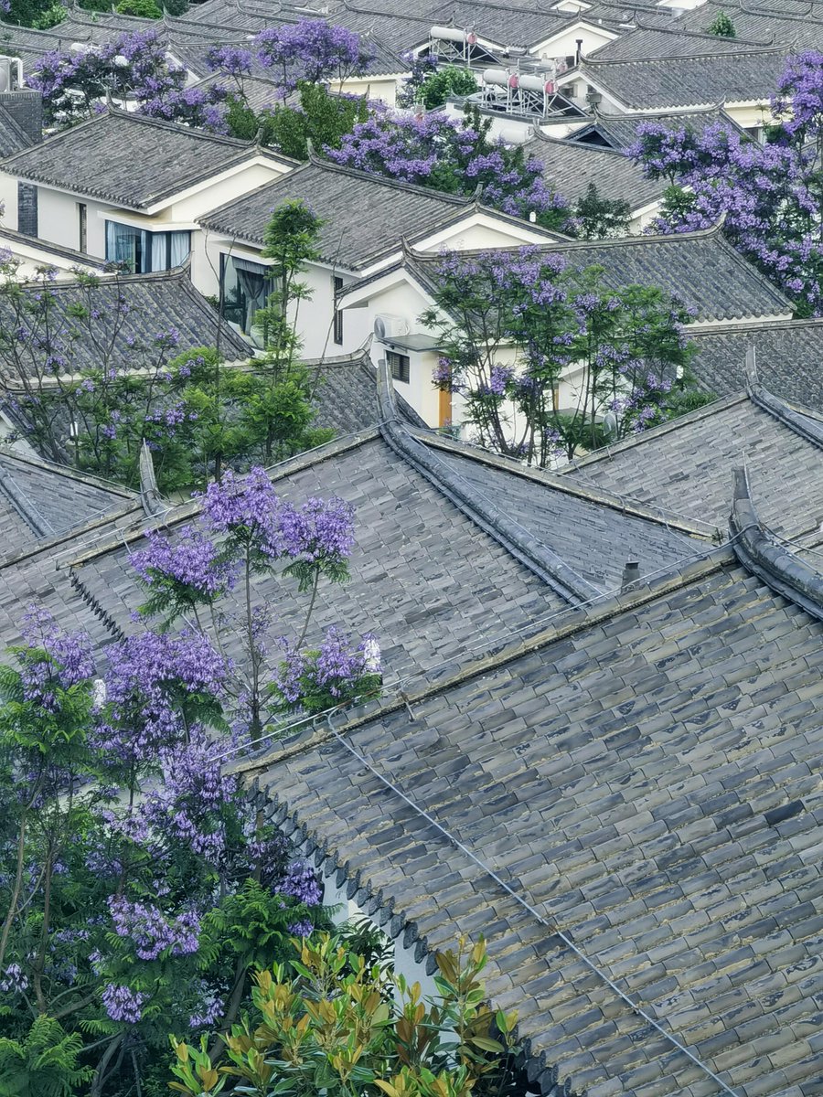 michael81121198's tweet photo. 「清晨在洱海边坐成一块石头，看云慢慢飘过山尖，风裹着阳光撞进怀里——原来最治愈的旅行，是把时间交给自己发呆」 https://t.co/GRZO9ZuruV