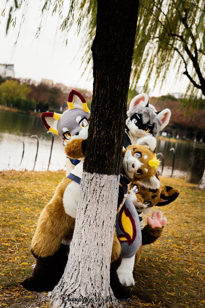 ネコタ@NEKOTA➡ちるこん (@hinekota) / Posts / X