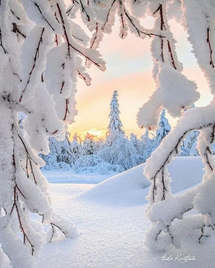 #WinterNature