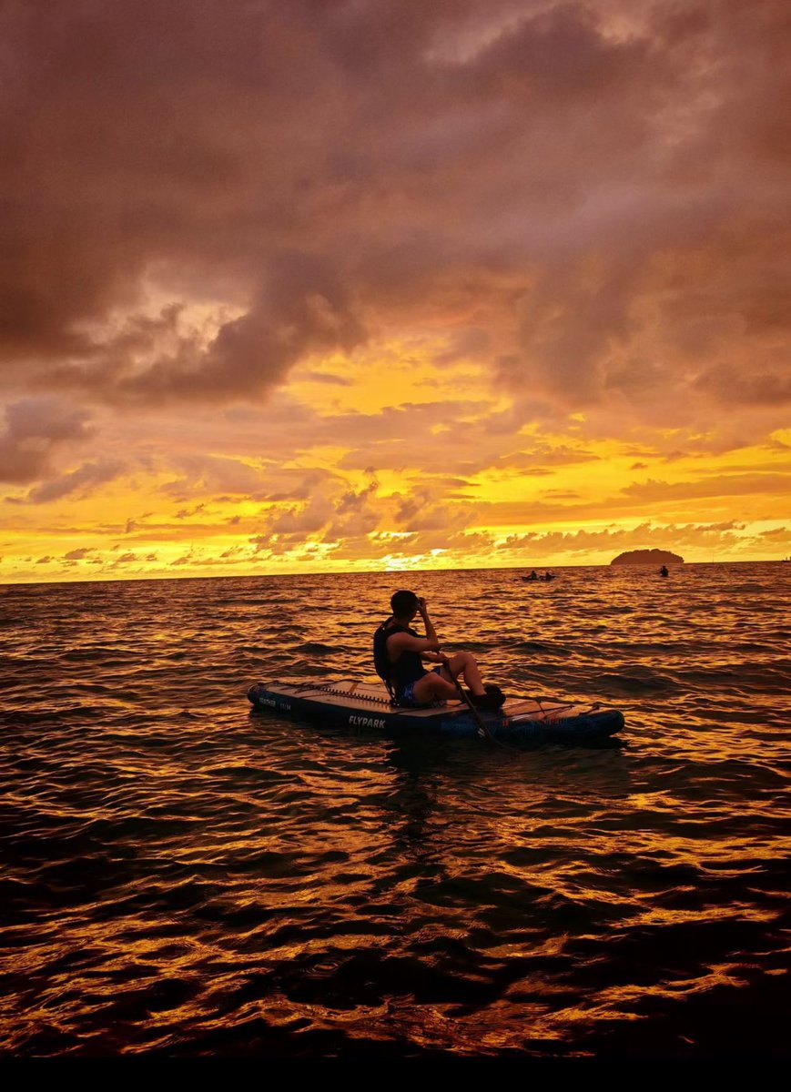 Jocaccia tweet media