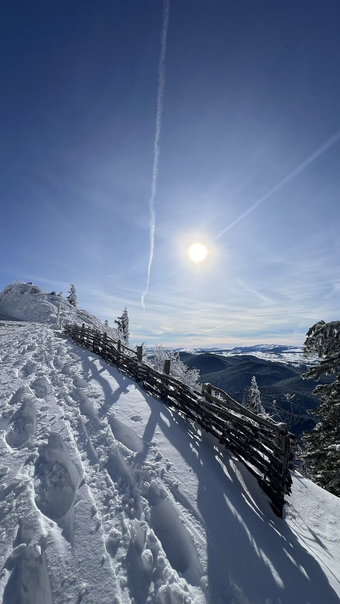 🇹🇷🐺 tweet media