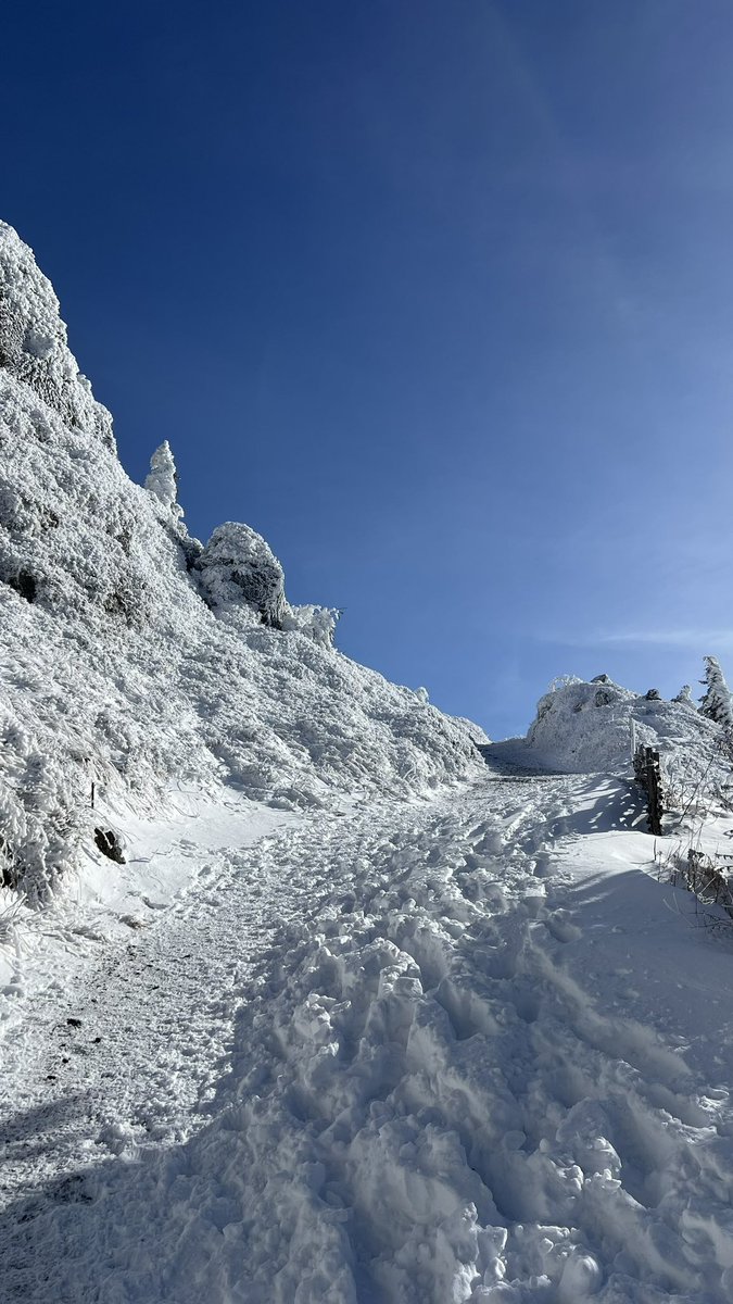 🇹🇷🐺 tweet media