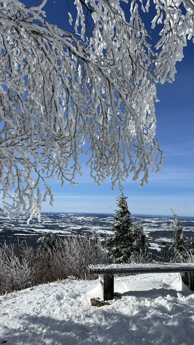 🇹🇷🐺 tweet media