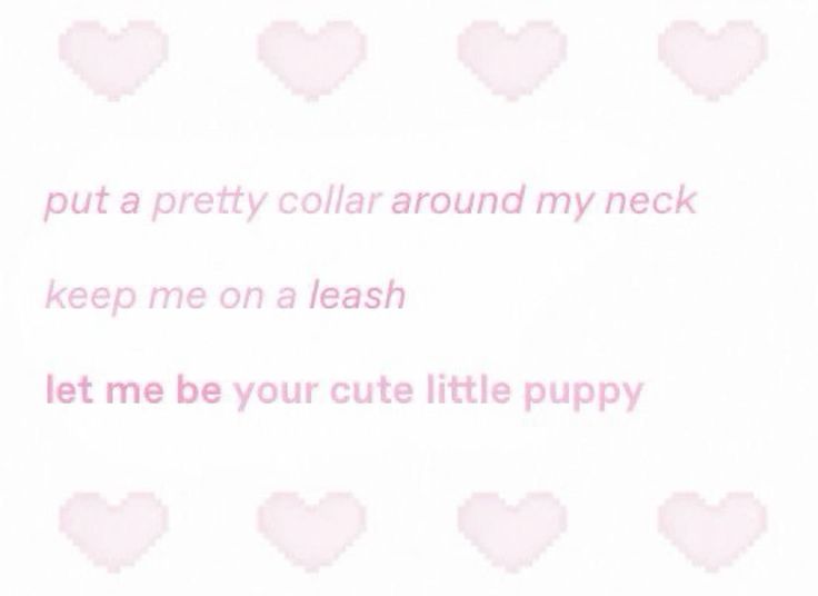 6walkinglegs's tweet photo. #puppyboytwt https://t.co/b3yfGw4X6P