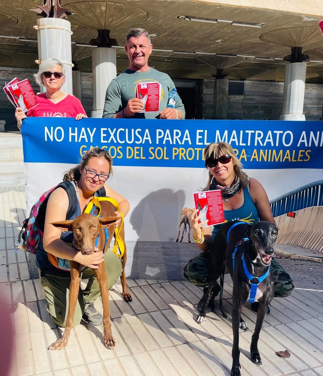 Galgos del Sol tweet media