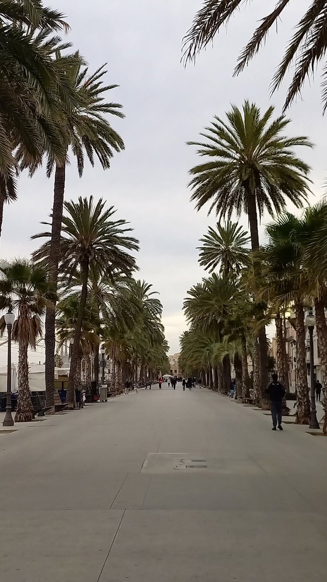 PassejantM's tweet photo. Passejant pel món. 
Badalona. Catalunya. #travel #travelphotography #travelling #travelpic #badalona https://t.co/XU5MAYBPrJ
