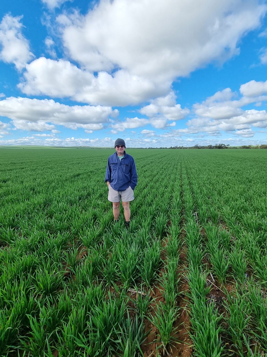 InterGrain tweet media