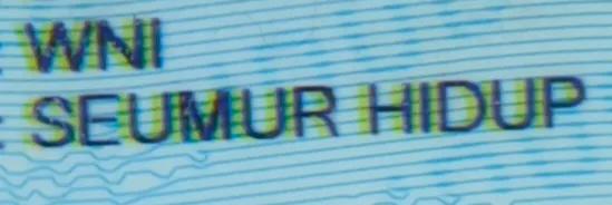 tokopedijee's tweet image. NOOO😭