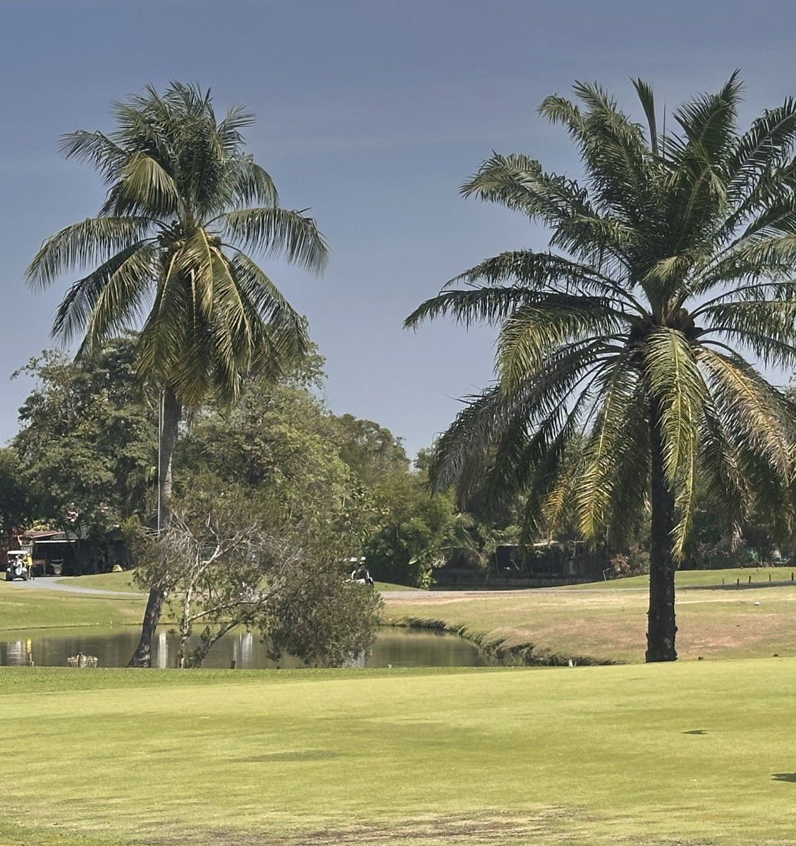 RSUVista's tweet photo. 📷🌞 A professional morning perspective at RSU Vista Golf Course, Thailand captured on Thursday, 29 January 2026.
⛳️⛳️⛳️ Tee Off Reservation &amp; Tournament Booking
☎️ 02-997-8501-6
🆔 @rsuvistagolf https://t.co/dMK8pWmaVf