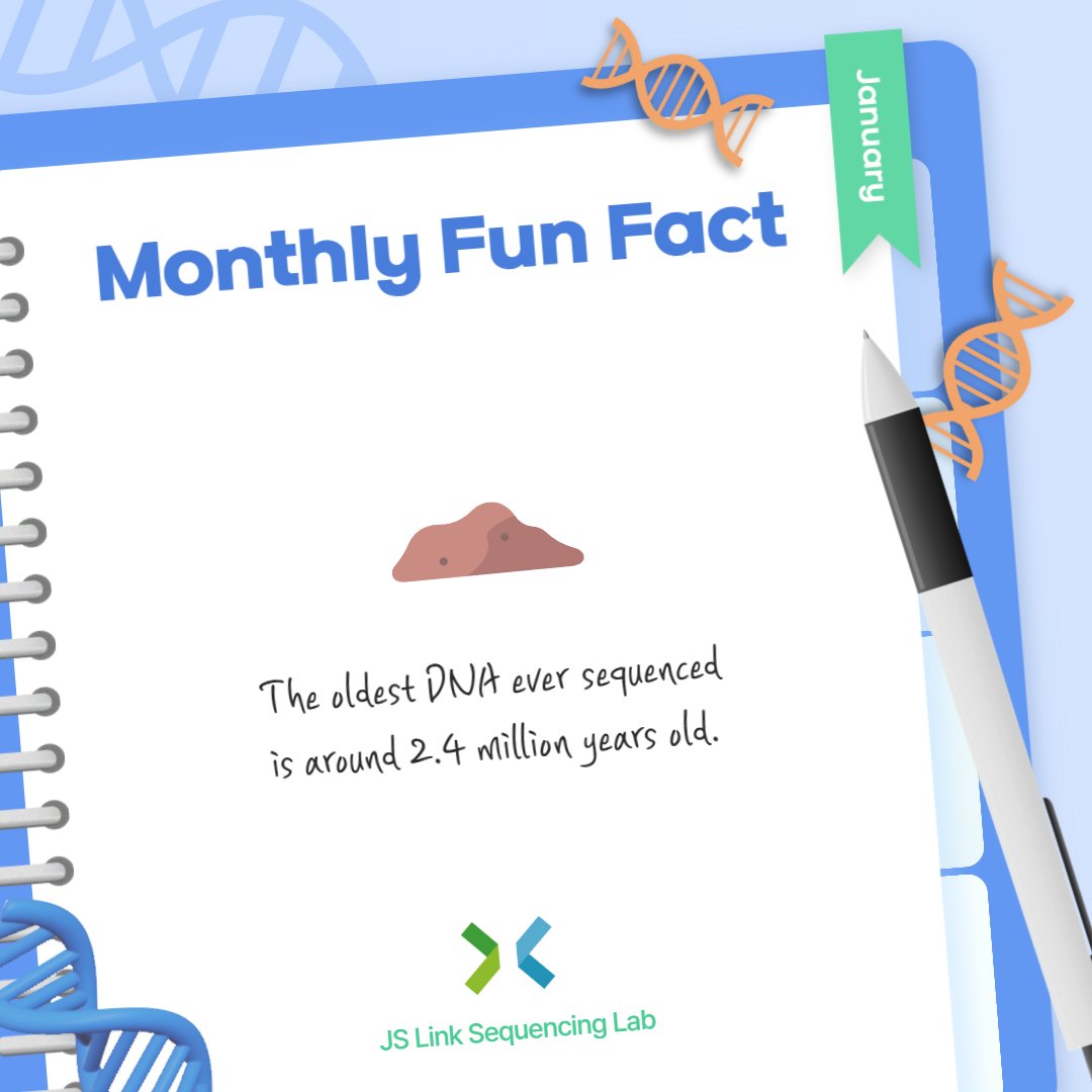 JSLinkSeqLab's tweet photo. JS Link Monthly Fun Fact 🧬

Did you know that the oldest DNA ever sequenced is around 2.4 million years old? It was recovered from an ice sheet in northern Greenland, and the DNA was preserved thanks to the soil composition and the freezing temperature of the sediment.

Interested in sequencing your own samples?
📧 info@jslink.co.kr
🔗 https://t.co/N2DZjvb6XN 

#JSLinkSequencingLab #NGS #Sequencing #Genomics #DNA #Science #FunFact