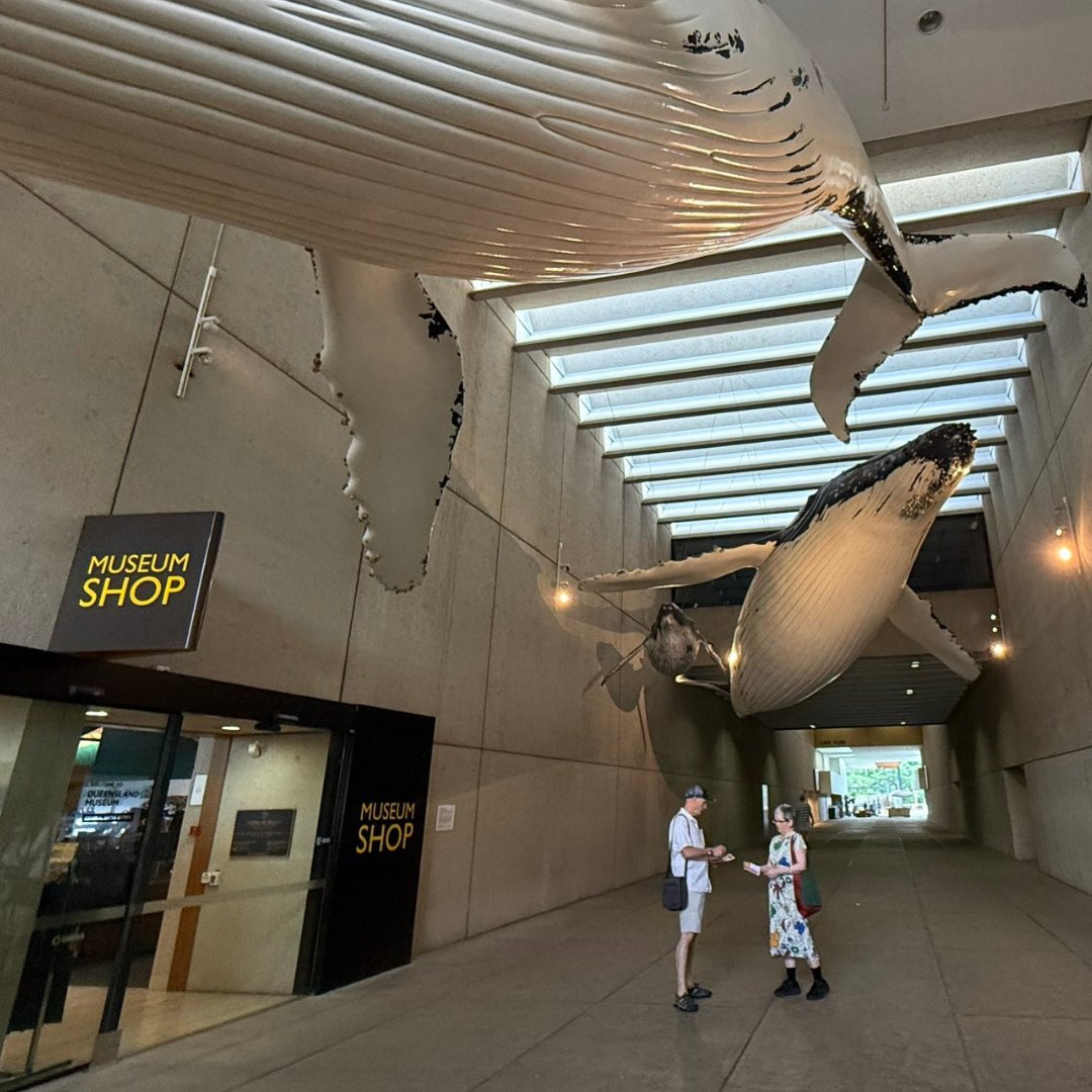 QLD Conservation Council tweet media