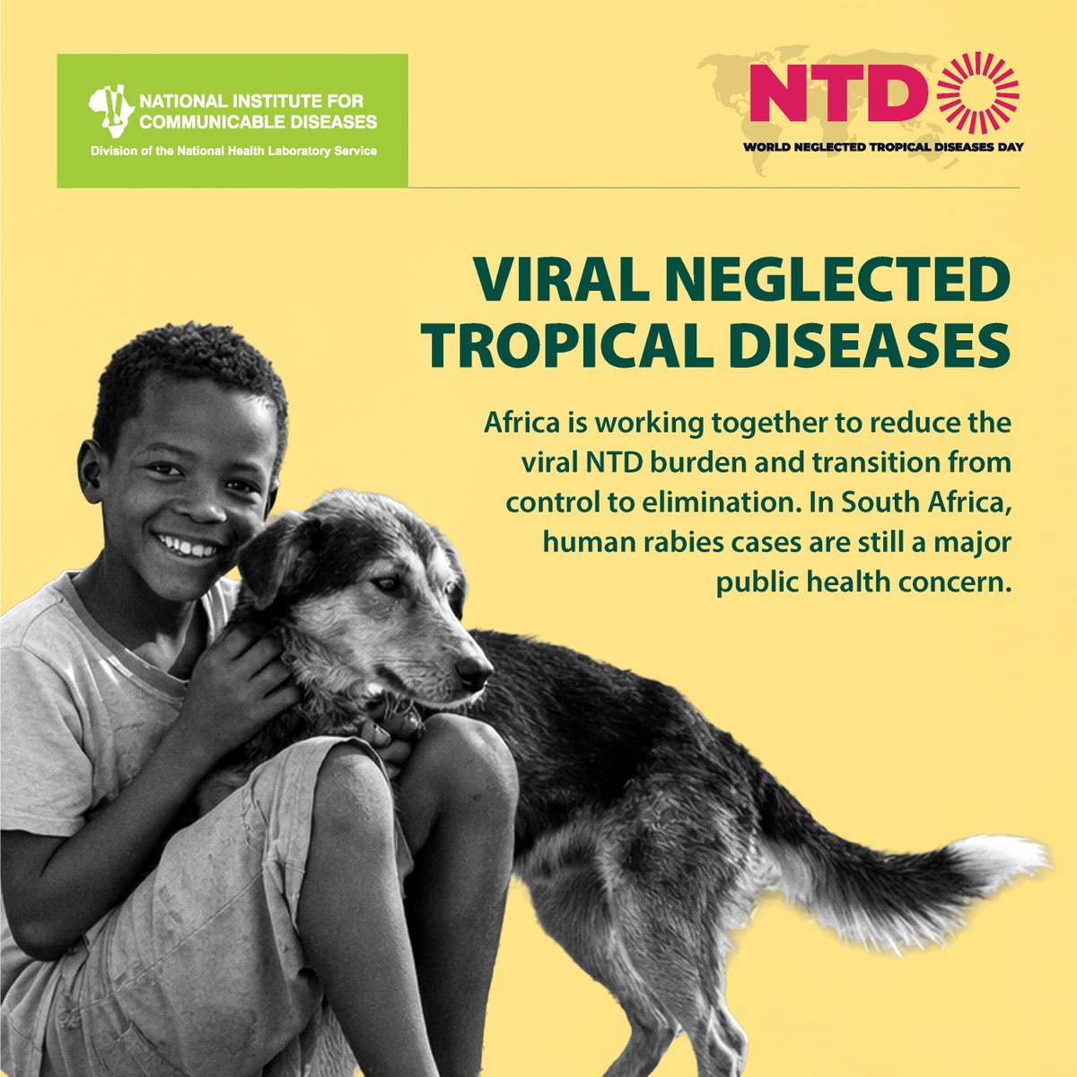 nicd_sa's tweet photo. With World NTD Day approaching on 30 January 2026, we highlight how Africa is working together to reduce the viral NTD burden and transition from control to elimination. In South Africa, human rabies cases are still a major public health concern. https://t.co/AjooJva4T2