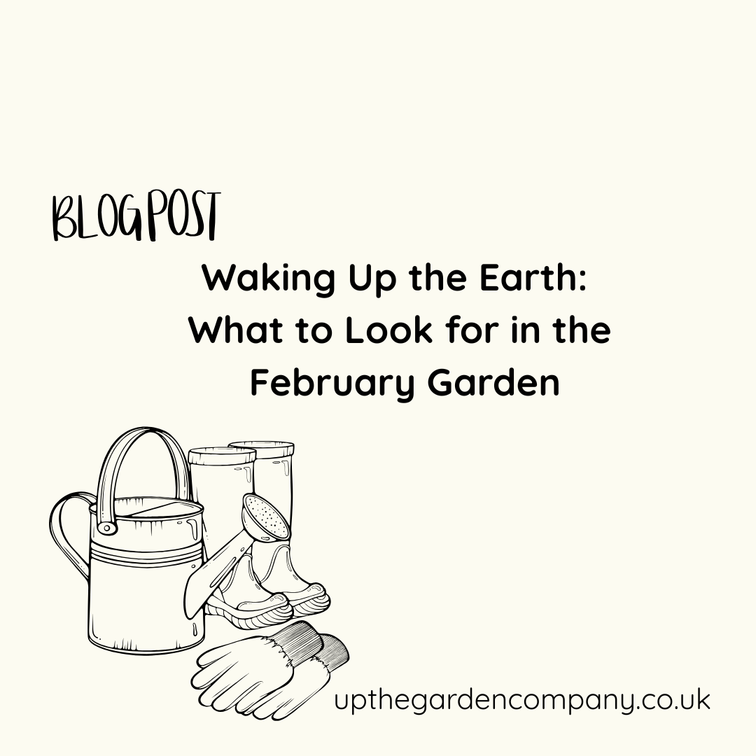 UpTheGardenCo's tweet image. 🌿 Waking up the garden in February is all about quiet wonder. 🌿

👉 Read more: upthegardencompany.co.uk/february-garde…

#FebruaryGarden #UKGardening #SeasonalGardening #GardenInspiration #Snowdrops #GardenWildlife #UpTheGardenCompany #BritishGardens 🌱