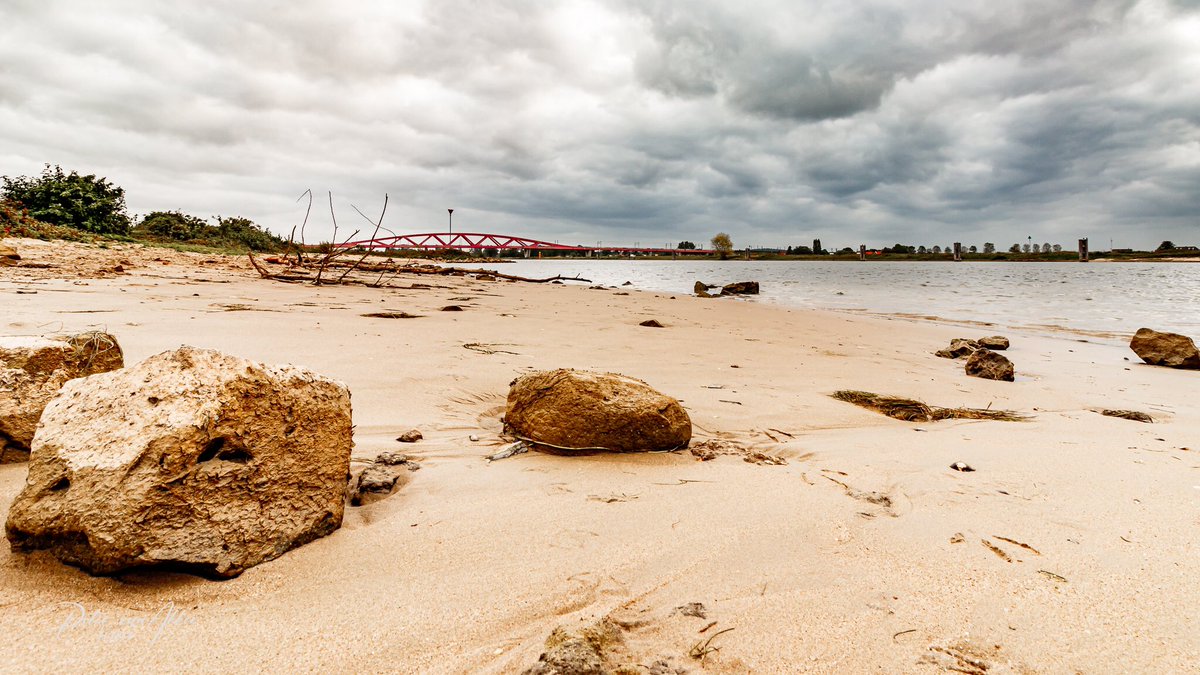 Peter van Akker 📷 tweet media