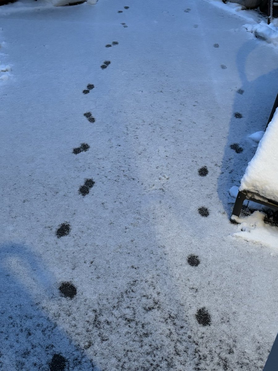 Henk.Verhoef tweet media