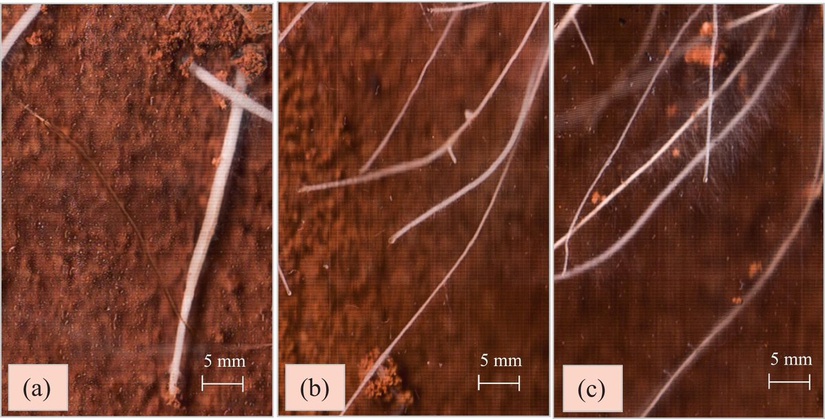 Geoderma - the global #OA journal of soil science tweet media