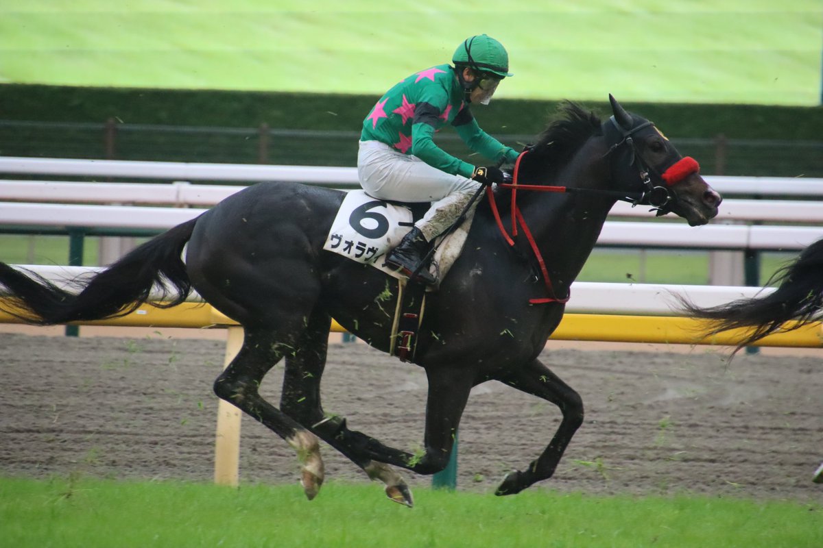 Ogoma🇩🇪フラッシュ専属🐞 (@Eishin_Flash77) / Posts / X