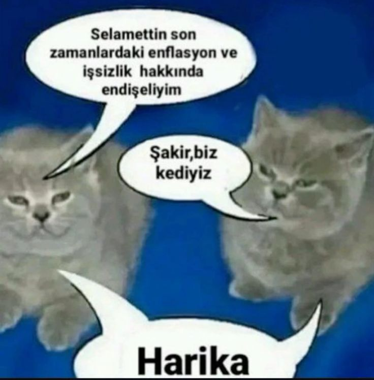 renaninbaltasi's tweet photo. günaydın https://t.co/ivRzasEDgO