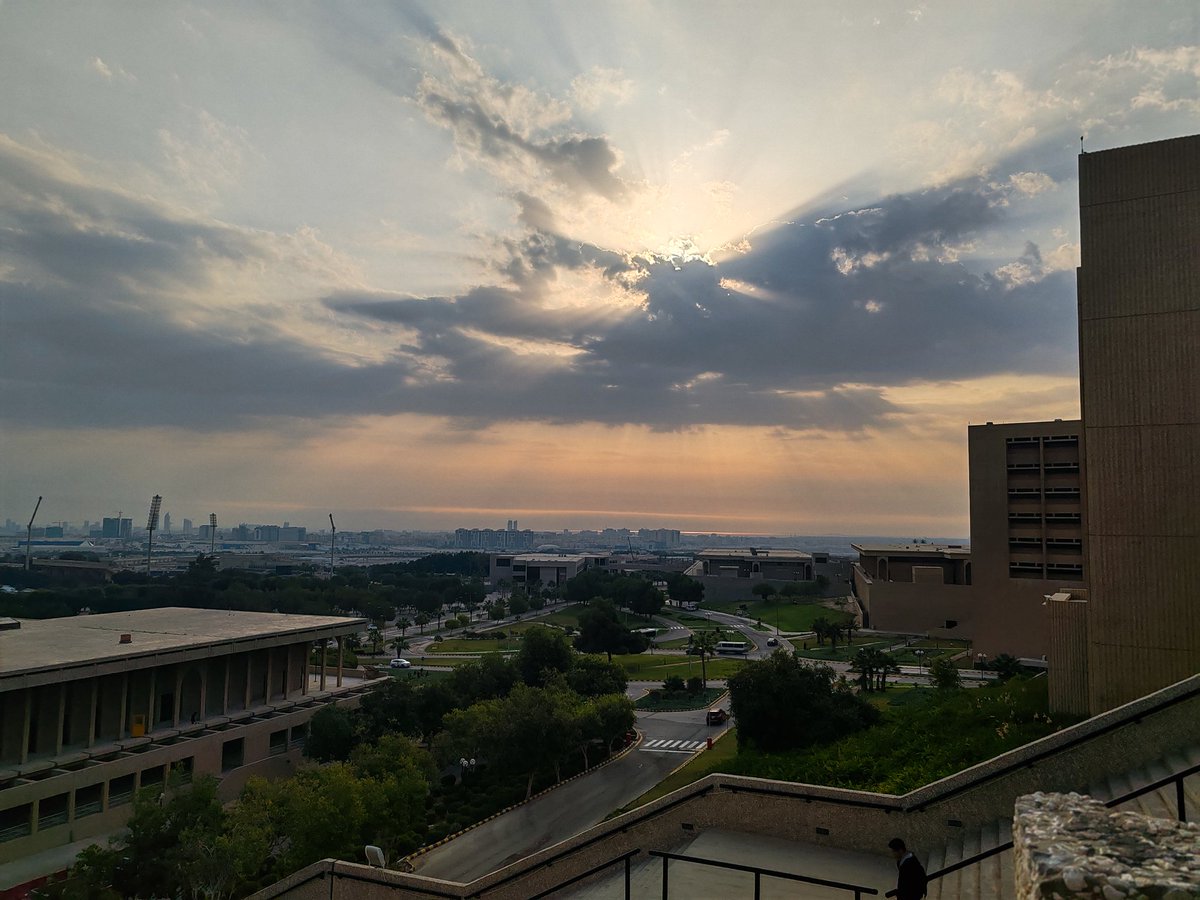 رغم أني صرت أرى هذا المنظر كُلّ صباح تقريبََا، لكن لا أزال غير قادرةٍ على مقاومته!
سبحان الخالق