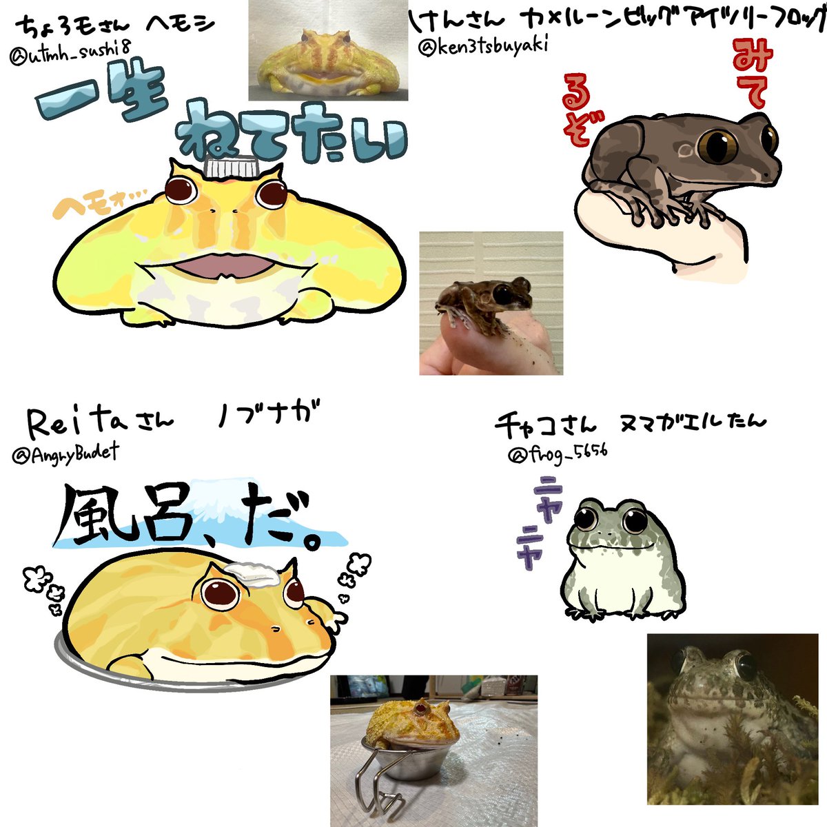 黒豆茶 tweet media