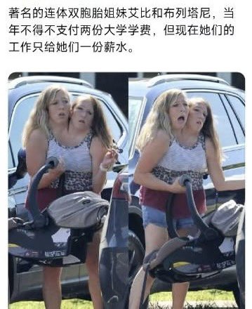 夜之城鼠鼠 tweet media