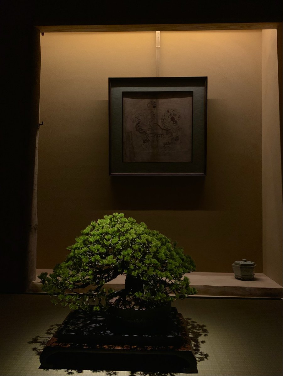 盆栽のあるカフェ

松葉屋茶寮
〒107-0062 東京都港区南青山５丁目４−２７ Barbizon104 1f
maps.app.goo.gl/bGz2yYzfxf9SiR…