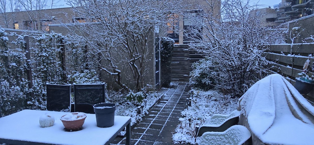 Martin Lamboo tweet media